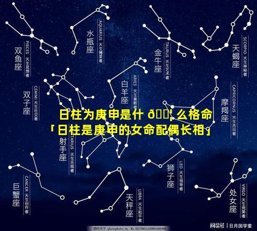 日柱为庚申是什 🐦 么格命「日柱是庚申的女命配偶长相」